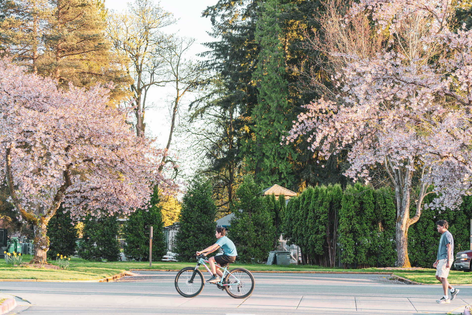 Man on bike in Marymoor Park